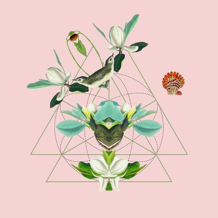 birds, flower and sacred geometry