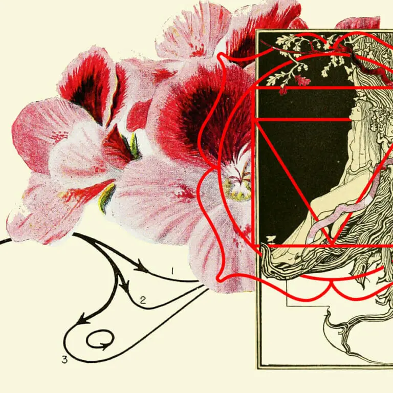 root chakra symbol big red flower with woman on tree collage art