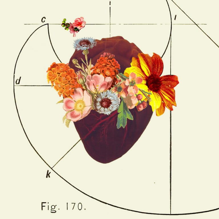 flowering heart with sacred geometry