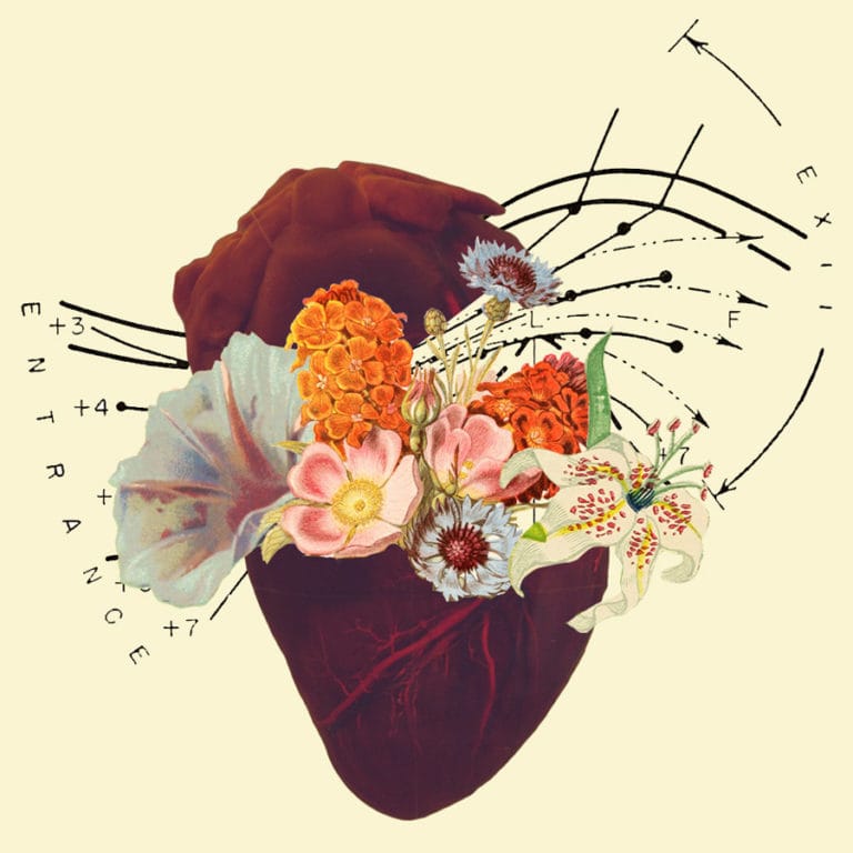 open heart with flowers growing out of the heart and mathematic background