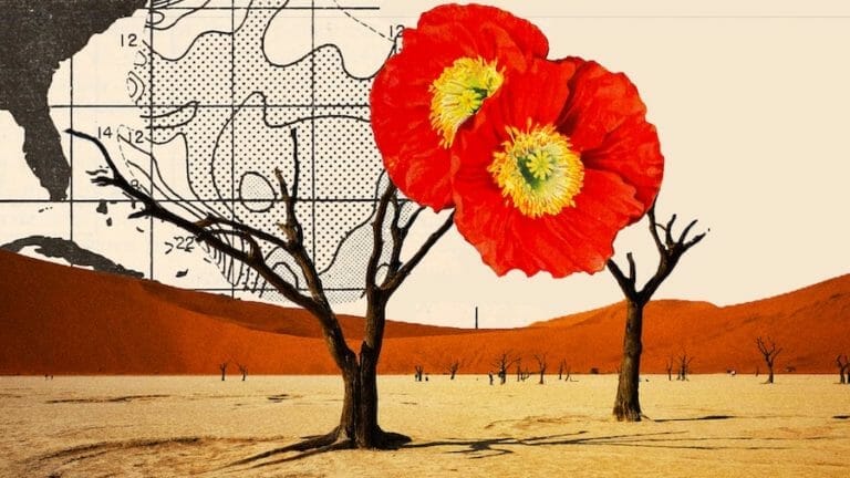 desert with dead tree with flower collage art